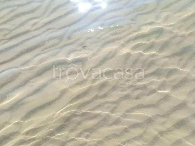 Appartamento in in affitto da privato a San Benedetto del Tronto viale Rinascimento, 129, da privato, lungomare, lavatrice TrovaCasa
