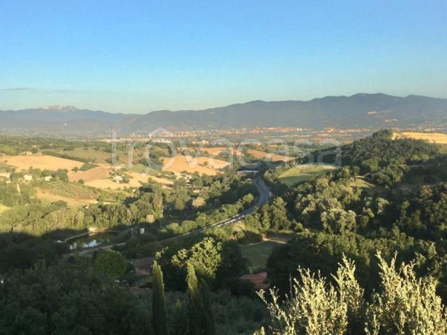 Appartamento in in affitto da privato a San Gemini via Piave, giardino, terrazzo, da privato TrovaCasa