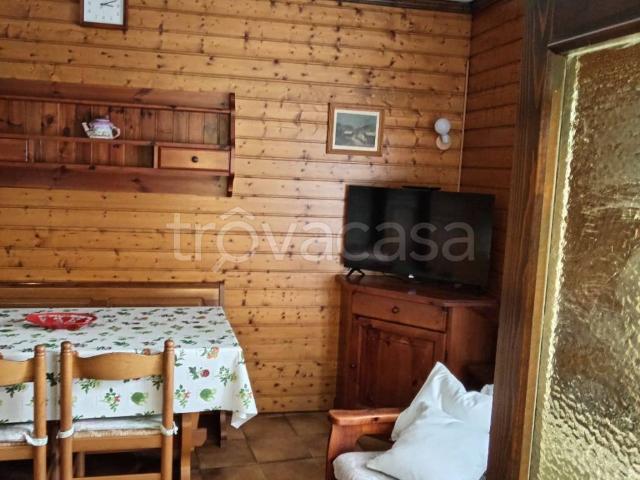 Appartamento in in affitto da privato a San Pietro di Cadore strada Provinciale di San Pietro di Cadore, arredato, da privato, panoramica TrovaCasa