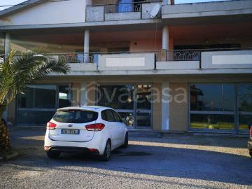 Appartamento in in affitto da privato a San Salvo via Grasceta, 27, da privato, luminoso TrovaCasa