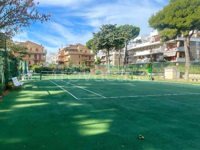 Appartamento in in affitto da privato a Santa Marinella via Cicerone, 57, arredato, giardino, da privato TrovaCasa