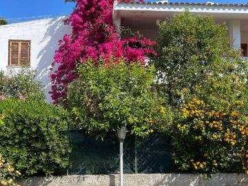Appartamento in in affitto da privato a Sellia Marina viale Rivachiara, giardino, posto auto, da privato TrovaCasa