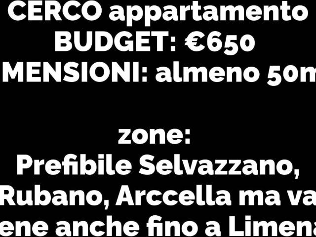 Appartamento in in affitto da privato a Selvazzano Dentro via Pelosa, arredato, da privato TrovaCasa