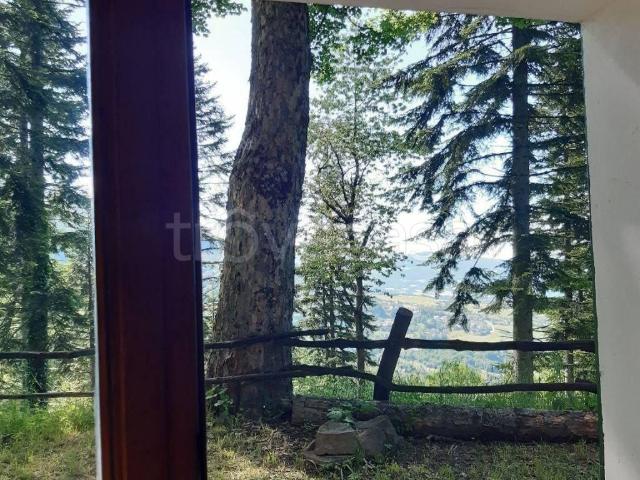 Appartamento in in affitto da privato a Sestola via Cosimo Zona, 6, arredato, giardino, da privato TrovaCasa