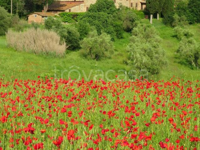 Appartamento in in affitto da privato a Siena strada delle Tolfe, 31, arredato, giardino privato, da privato TrovaCasa