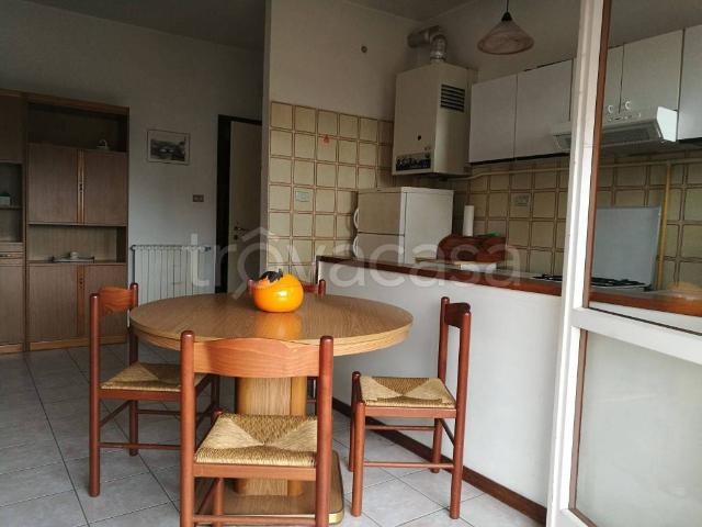 Appartamento in in affitto da privato a Silvi via Ticino, 6, giardino, posto auto, terrazzo TrovaCasa