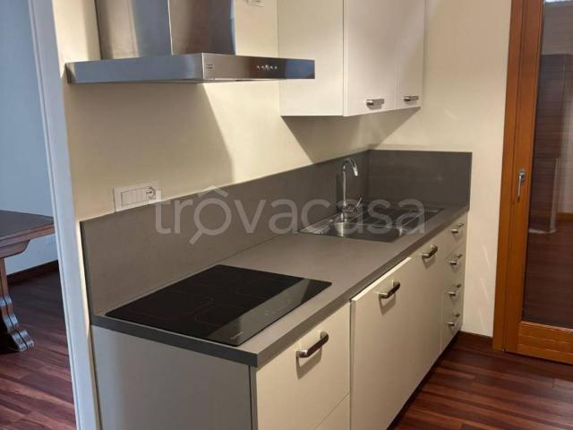 Appartamento in in affitto da privato a Pollone via Pier Giorgio Frassati, 3, giardino, box, terrazzo TrovaCasa