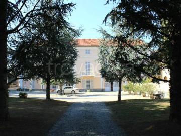 Appartamento in in affitto da privato a Pontestura via Vittorio Veneto, 18, da privato, doppi servizi TrovaCasa