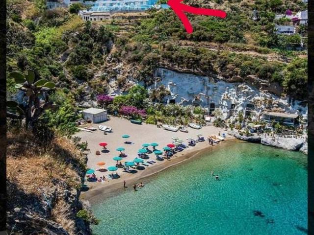 Appartamento in in affitto da privato a Ponza via Forna Grande, terrazzo, da privato, angolo cottura TrovaCasa