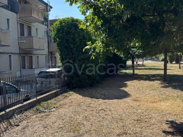 Appartamento in in affitto da privato a Padova via Piero Maroncelli, 4, arredato, giardino, terrazzo TrovaCasa