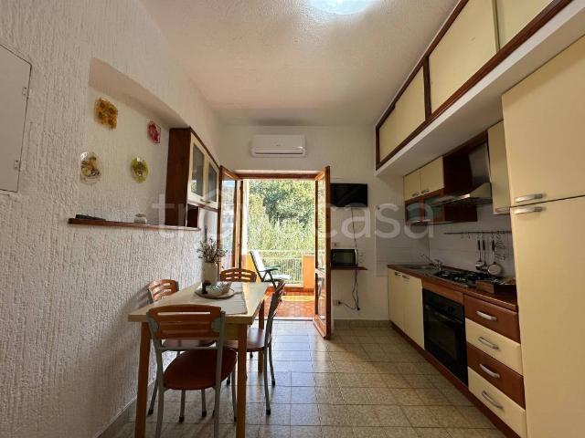 Appartamento in in affitto da privato a Paola via Turi, 10, da privato, zona residenziale, luminoso TrovaCasa