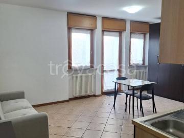 Appartamento in in affitto da privato a Parabiago via Enrico Fermi, arredato, giardino privato, da privato TrovaCasa