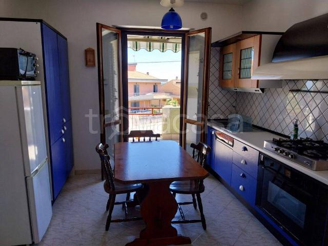 Appartamento in in affitto da privato a Petacciato via Marchesi Battiloro, 45, giardino privato, box, da privato TrovaCasa
