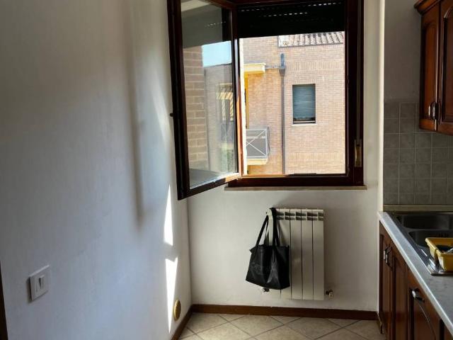 Appartamento in in affitto da privato a Petriano via Fabio Filzi, 4, box, da privato, parzialmente arredato TrovaCasa
