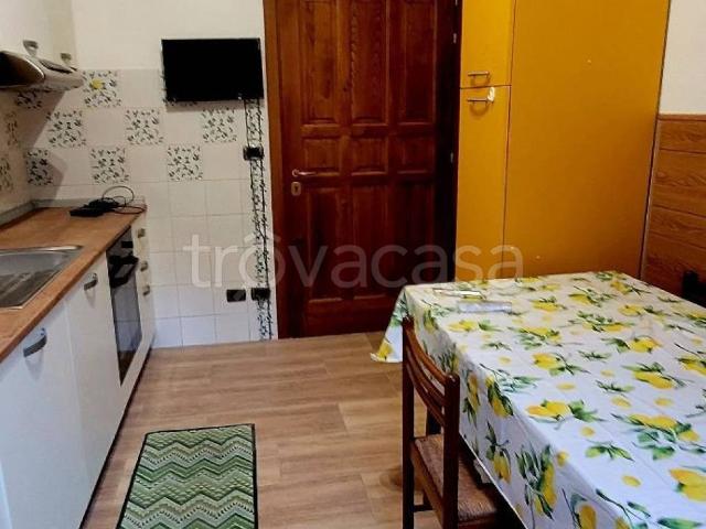 Appartamento in in affitto da privato a Perugia via Amilcare Ponchielli, 14, da privato, ripostiglio TrovaCasa