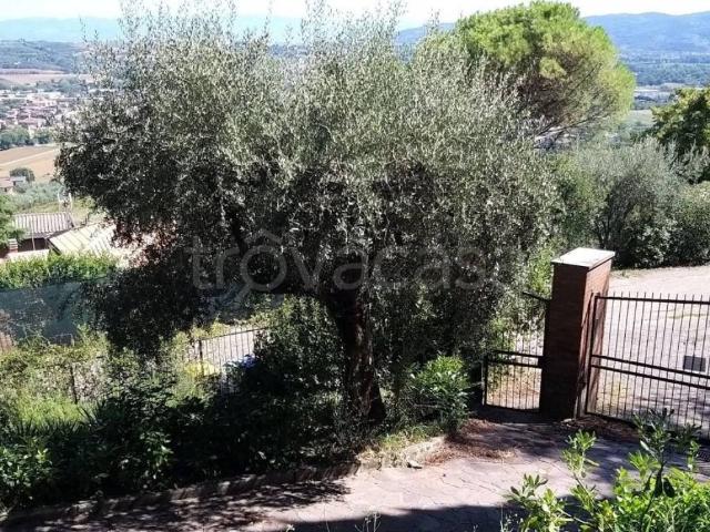 Appartamento in in affitto da privato a Perugia via Mario Vianello, 11, giardino privato, posto auto, da privato TrovaCasa