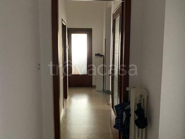 Appartamento in in affitto da privato a Pescara via Giovanni Chiarini, 58, terrazzo, da privato, ascensore TrovaCasa