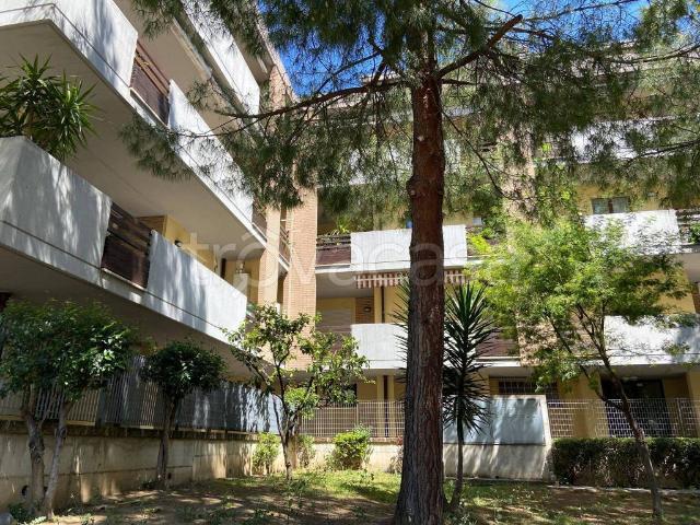 Appartamento in in affitto da privato a Pescara via del Santuario, 181, da privato, ascensore, balcone TrovaCasa