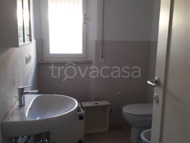 Appartamento in in affitto da privato a Pisa via Po, 20, giardino, da privato TrovaCasa