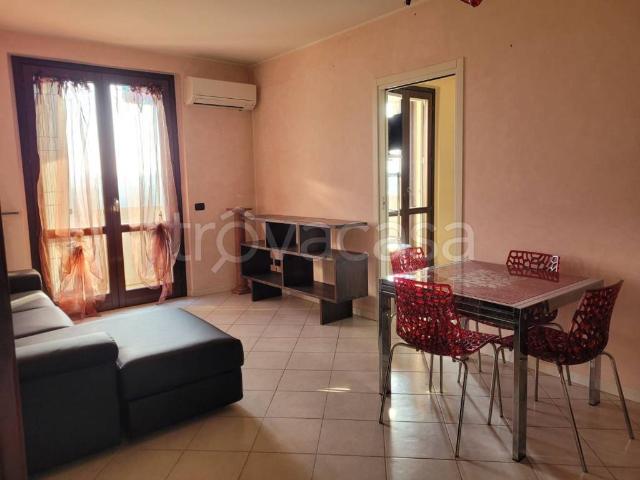 Appartamento in in affitto da privato a Rottofreno via Papa Giovanni Paolo ii, 3, arredato, box, da privato TrovaCasa