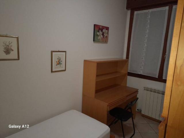Appartamento in in affitto da privato a Rovigo via Domenico Angeli, 16, arredato, da privato TrovaCasa