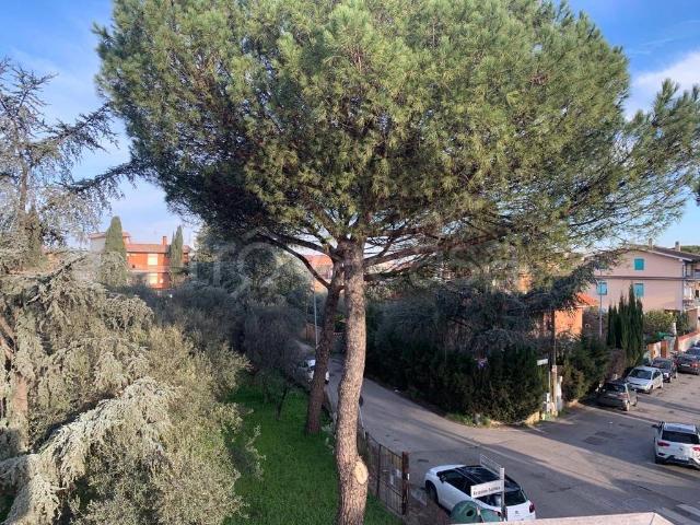 Appartamento in in affitto da privato a Roma via Antonino Salinas, 3, non arredato/vuoto, terrazzo, da privato TrovaCasa