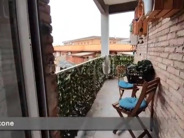 Appartamento in in affitto da privato a Roma via Alessandro Codivilla, arredato, da privato, ascensore TrovaCasa