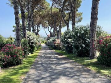 Appartamento in in affitto da privato a Roma via della Giustiniana, 995, da privato TrovaCasa
