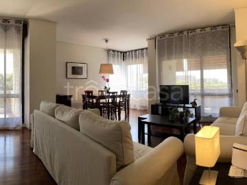 Appartamento in in affitto da privato a Roma viale Cesare Pavese, da privato TrovaCasa