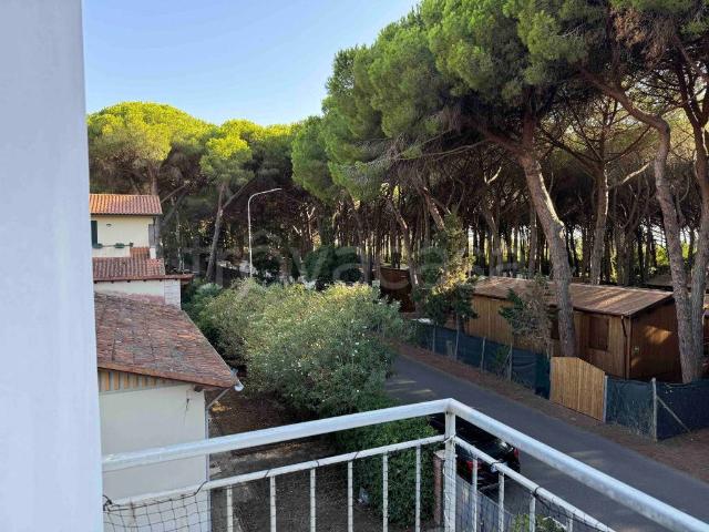 Appartamento in in affitto da privato a Rosignano Marittimo via dei Cavalleggeri, 249, giardino, posto auto, da privato TrovaCasa