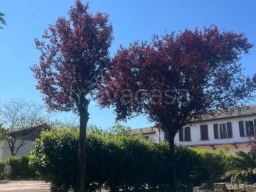 Appartamento in in affitto da privato a Ravenna via Fosso delle Oche, 57, arredato, giardino, da privato TrovaCasa