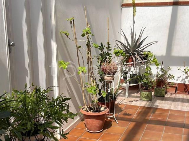 Appartamento in in affitto da privato a Reggio di Calabria via Tommaso Gulli, 24, terrazzo, da privato, lavanderia TrovaCasa