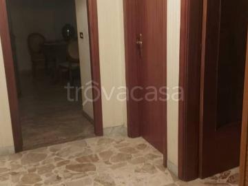 Appartamento in in affitto da privato a Reggio di Calabria via Rausei, 1, arredato, da privato, ascensore TrovaCasa