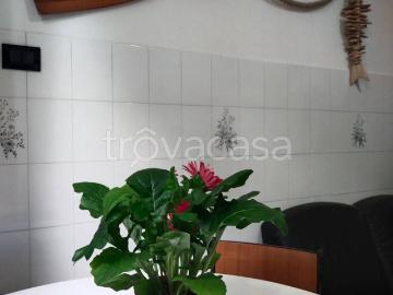 Appartamento in in affitto da privato a Rimini viale Tripoli, 196, da privato, lavatrice, ingresso indipendente TrovaCasa