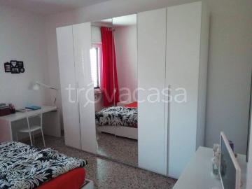Appartamento in in affitto da privato a Teramo viale Francesco Crucioli, 53, terrazzo, da privato, vicinanze negozi TrovaCasa