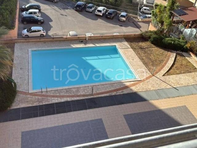 Appartamento in in affitto da privato a Termoli via Asia, 1, da privato, piscina condominiale TrovaCasa