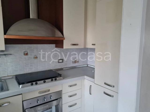 Appartamento in in affitto da privato a Termoli via dei Mandorli, 192, arredato, giardino, posto auto TrovaCasa