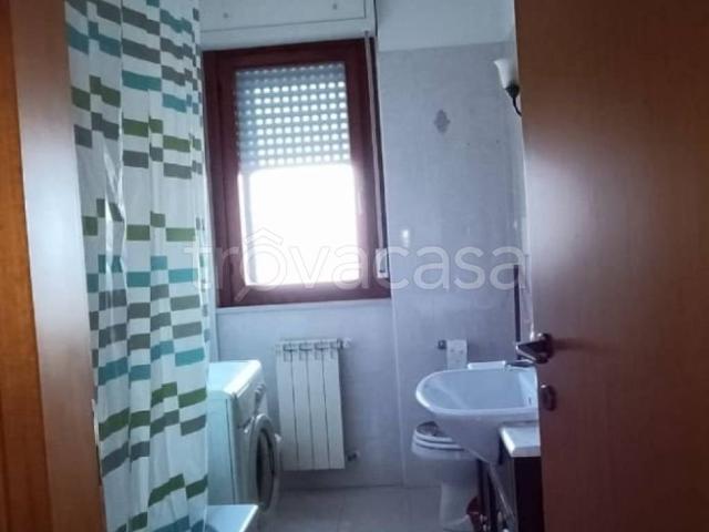 Appartamento in in affitto da privato a Termoli, arredato, da privato, ascensore TrovaCasa