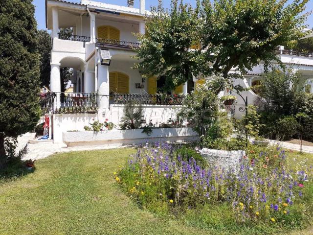 Appartamento in in affitto da privato a Terracina riva Delle Margherite, giardino, da privato, terrazzo abitabile/ampio TrovaCasa
