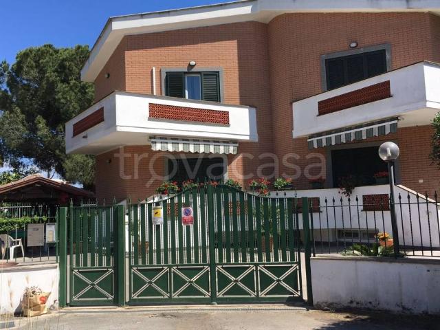 Appartamento in in affitto da privato a Terracina via Toscana, 12, giardino, da privato, aria condizionata TrovaCasa