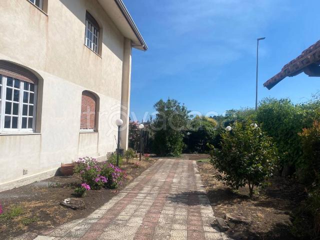 Appartamento in in affitto da privato a Trecastagni via Archimede, 16, giardino, da privato, lavanderia TrovaCasa