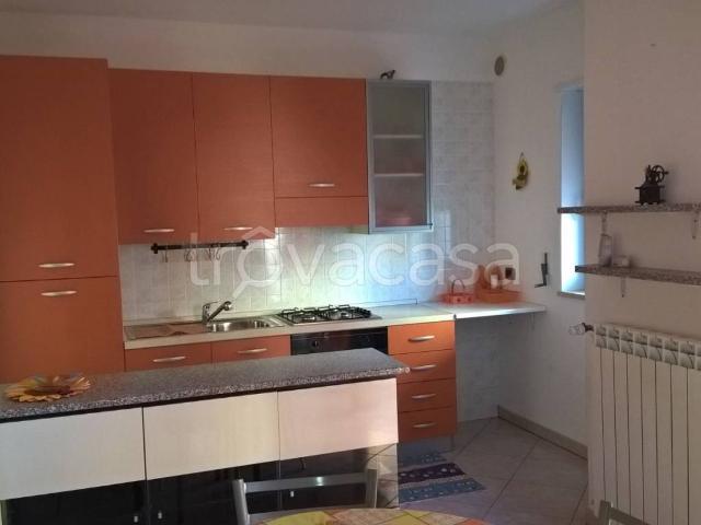 Appartamento in in affitto da privato a Turi via Frassineto, arredato, da privato, ascensore TrovaCasa
