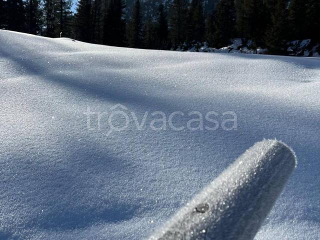 Appartamento in in affitto da privato ad Auronzo di Cadore via Monte Piana, 10, da privato TrovaCasa