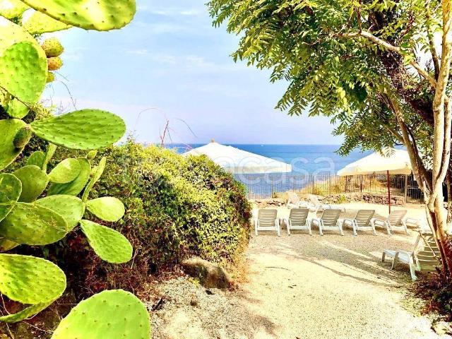 Appartamento in in affitto da privato ad Acireale via dei Maceratoi, 8, giardino privato, posto auto, da privato TrovaCasa