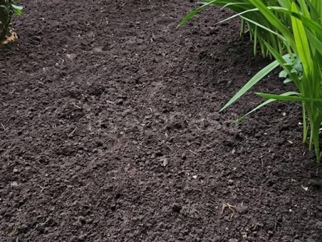 Appartamento in in affitto da privato ad Agrigento via Imera, 65, da privato, immobile di prestigio, ascensore privato TrovaCasa