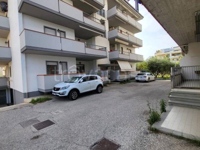Appartamento in in affitto da privato ad Alba Adriatica via dei Tigli, 47, arredato, da privato, ascensore TrovaCasa