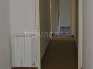 Appartamento in in affitto da privato ad Albano Laziale via Olanda, 10, da privato, riscaldamento autonomo, luminoso TrovaCasa