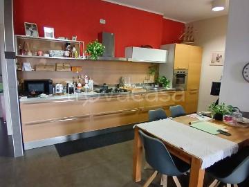 Appartamento in in affitto da privato ad Alessandria viale Medaglie d'Oro, 55, da privato, cantina, luminoso TrovaCasa
