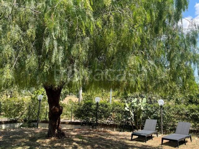 Appartamento in in affitto da privato ad Altavilla Silentina via Giovanni Marra, 1, giardino, posto auto, da privato TrovaCasa