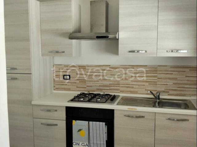 Appartamento in in affitto da privato ad Anzio via Colle Capitolino, 6, giardino, da privato, ristrutturato TrovaCasa
